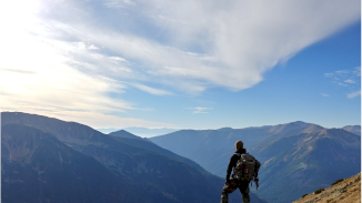 81% of brands and agencies want advertising to be “more adventurous”