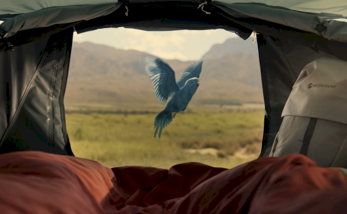 GO Outdoors launches TV and digital campaign celebrating life outdoors